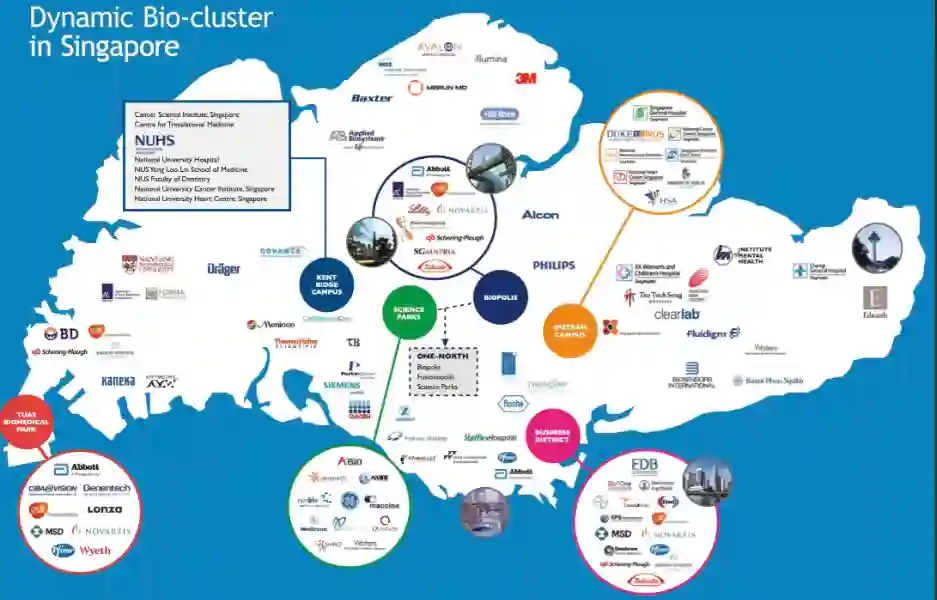 Singapore’s Top Healthcare Providers 2026: Ultimate Full Guide Uncovered